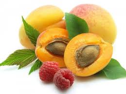 Attēlu rezultāti vaicājumam “Prunus armeniaca fruit”