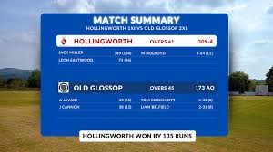 Image result for Hollingworth Cricket Club