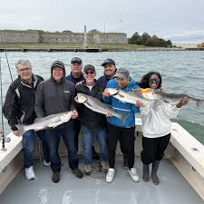 Image result for Braintree Sea Angling Club