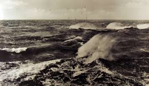 Image result for zeeland 1953