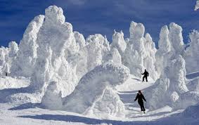 Картинки по запросу япония снег дороги