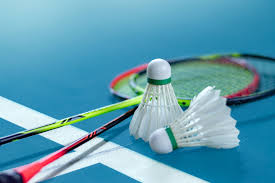 Image result for Greenwich Badminton Club