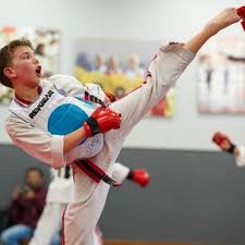 Image result for Blood Sweat and Tears Mixed Martial Arts Academy