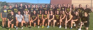 Image result for Colne Valley Football Club- Girls