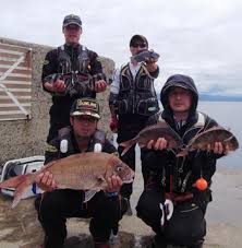 「 ｿｽ ｽｿ ｽｽA ｿｽ ｽｿ ｽｽ[ ｿｽ ｽｿ ｽｽ ｿｽ ｽｿ ｽｽ ｿｽ ｽｿ ｽｽ ｿｽ ｽｿ ｽｽ ｿｽ ｽｿ ｽｽ` ｿｽ ｽｿ ｽｽF ｿｽ ｽｿ ｽｽA」の画像検索結果