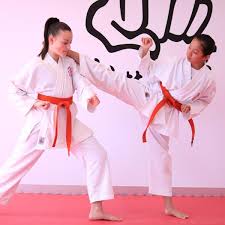 Image result for Dynamic Self Defence