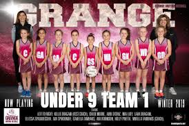 Image result for Newdigate Netball Club
