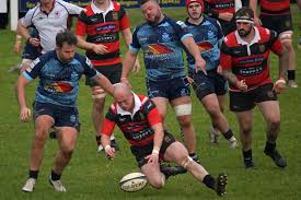 Image result for Wellington Rugby Football Club Limited