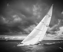 Image result for Fairlie Yacht Club