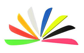 Image result for Falkirk Company Of Archers