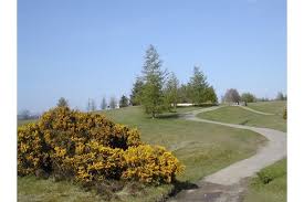 Image result for Vale Of Leven Golf Club