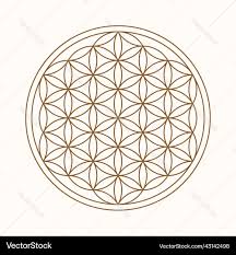 Image result for life flower