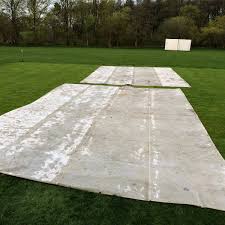 Image result for Poloc Cricket Club