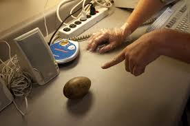 Attēlu rezultāti vaicājumam “Grus grus eggs”