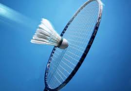 Image result for Monkwick St Peter Badminton Club