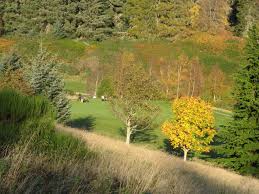 Image result for Strathpeffer Spa Golf Club