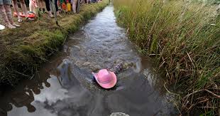 Image result for Bog Snorkelling Championships