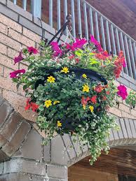 Image result for Murch Bowling Club