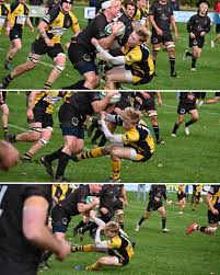 Image result for Holt R F C