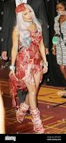 Image result for lady gaga meat dress