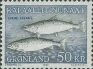 Image result for Salmo zrmanjaensis
