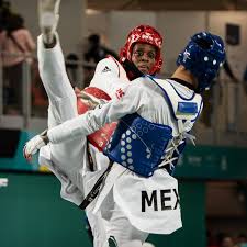 Image result for Taekwondo Athletes Program USA