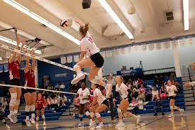 Image result for York University Volleyball Club