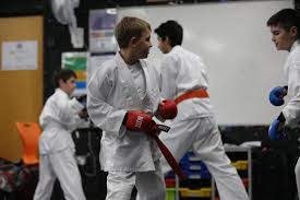 Image result for Loughton Wado-Kai Karate Club