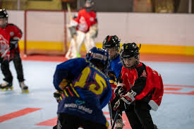 Image result for Glossopdale Devils