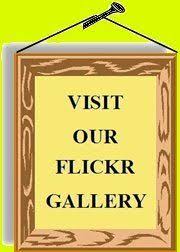 Image result for Worsley Cruising Club Ltd