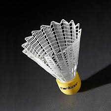 Image result for Carlton Badminton Club