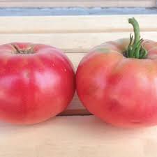 Afbeeldingsresultaat voor Pink Brandywine tomato