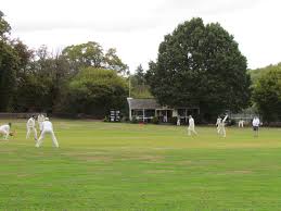 Image result for LITTLE GADDESDEN CRICKET CLUB