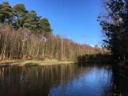 Image result for Frimley