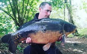 Image result for Cobham Court Angling Club