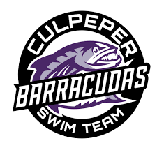 Image result for Black Country Barracudas Sub Aqua Club