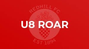 Image result for Redhill Juniors FC