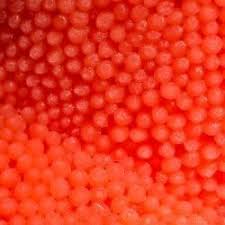 Attēlu rezultāti vaicājumam “Licea chelonoides”