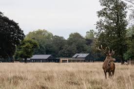 Image result for Reed Cricket Club