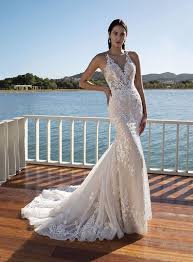 Image result for cosmobella