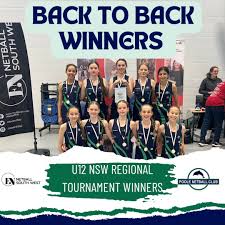 Image result for Poole Netball Club