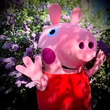 Image result for peppa pig costume