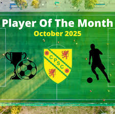 Image result for Chadderton Park Juniors F C