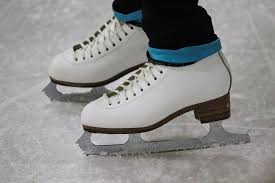 Image result for Guildford Ice Figure Skating Club