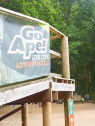 Image result for Go Ape! Thetford