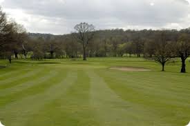 Image result for Central London Golf Club