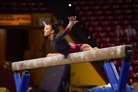 Image result for Biddick Sports College Community Gymnastics Club