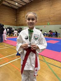 Image result for HEIWA SHOTOKAN KARATE CLUB