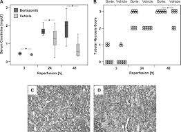 Image result for borte h