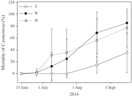 Attēlu rezultāti vaicājumam “Chara tomentosa”
